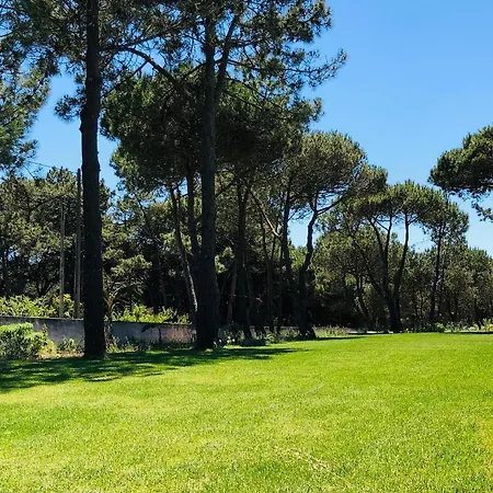 Forest Village Nyaraló Lisboa