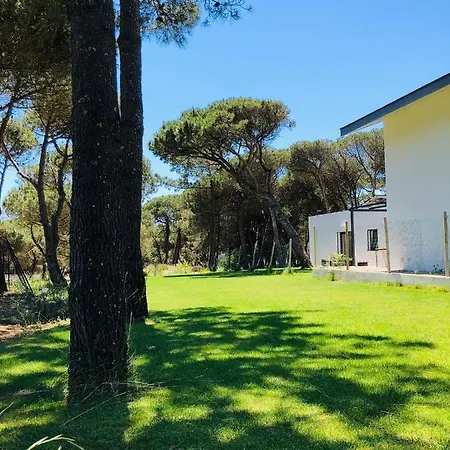 Nyaraló Forest Village