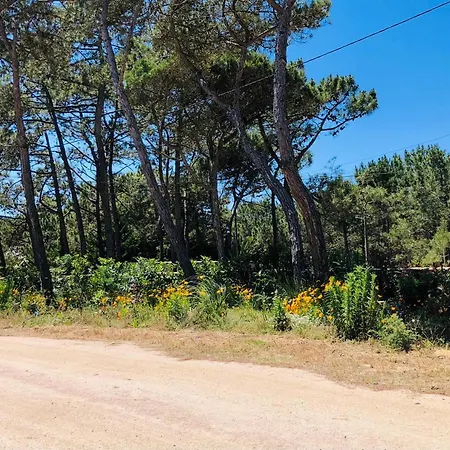 Forest Village Lisboa