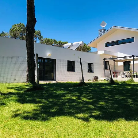 Forest Village Lisboa